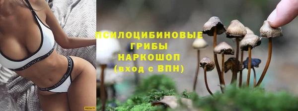 винт Алексин